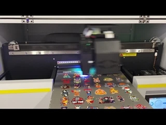 Υψηλής ταχύτητας 3m2 Υβ υβριδικός εκτυπωτής για μέγιστη ανάλυση 297*420 mm με λογισμικό PP/PF Rip